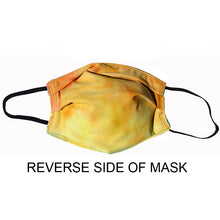 Load image into Gallery viewer, Artist Collab - Turquoise #9 Mens Mask
